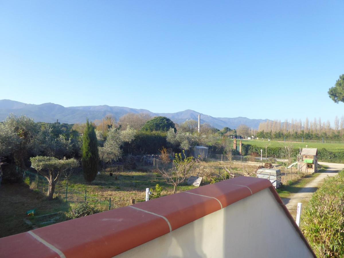 Mas Picton Otel Argelès-sur-Mer Dış mekan fotoğraf